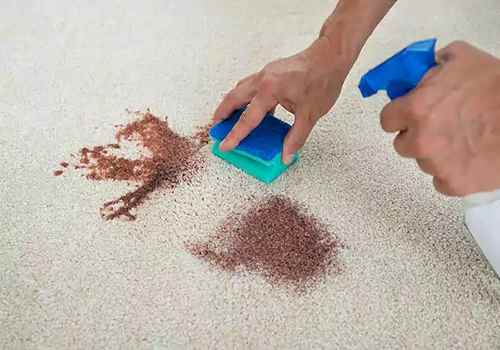 لکه بری فرش در خانه + 5 راهکار طلایی